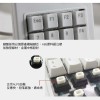 USB有線機械白軸數字小鍵盤｜英文鍵｜SY-DX17A、SY-DX18A